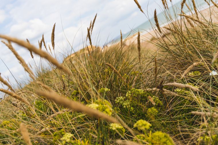 Dorset beach scene sand and seaside